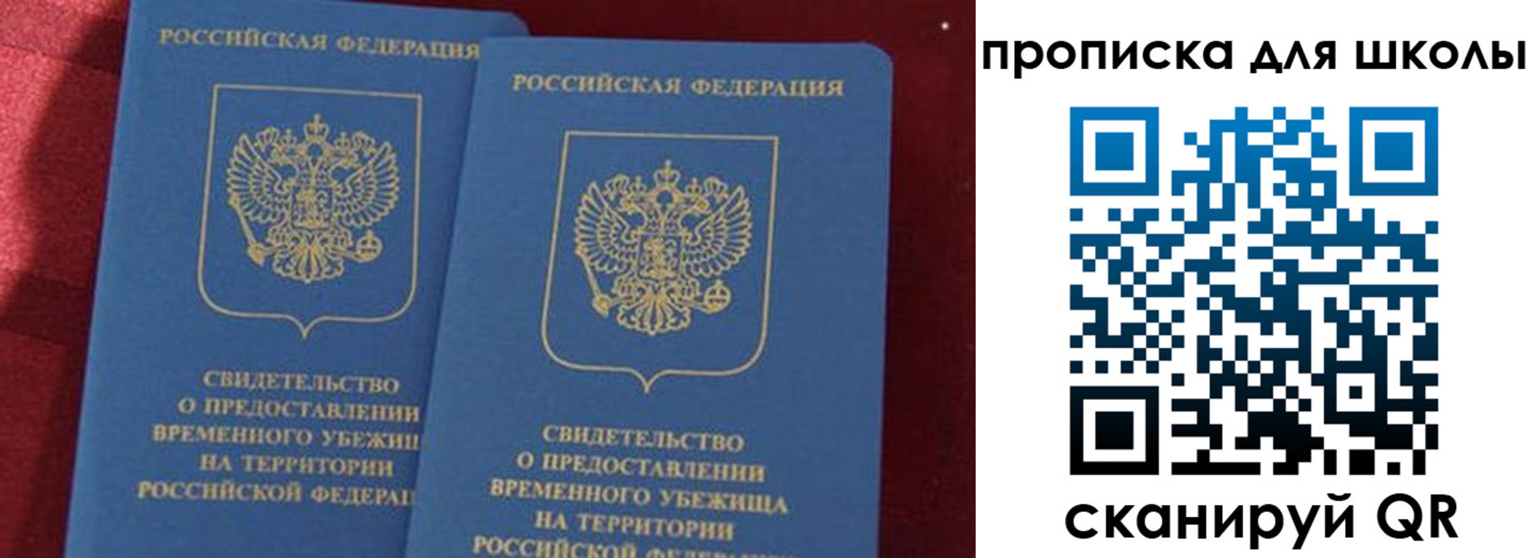 прописка поиск в Болотном